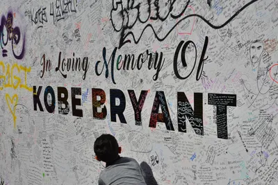 DSC_7163 (Large).JPG